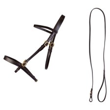 Cameo Equine In Hand Bridle &