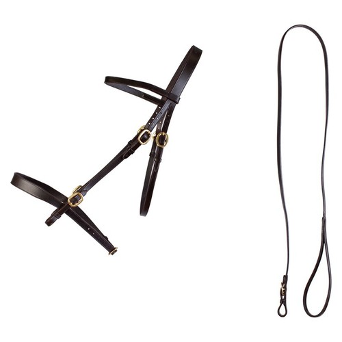 Cameo equine hand bridle - in,