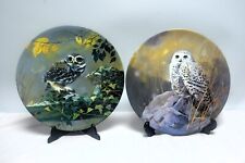 Royal Doulton British Owls - 2 X Plates VGC 20.5cm