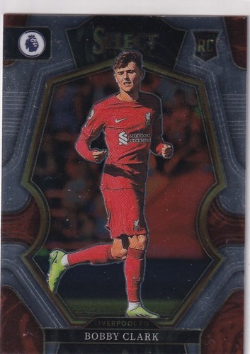 Panini select premier league - premier,