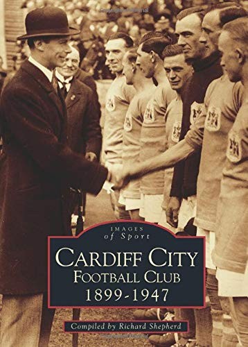 Cardiff city football club - city,