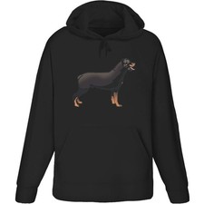 'Rottweiler Dog Standing'