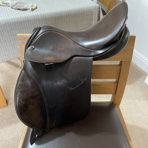 Saddle pony don - saddle,