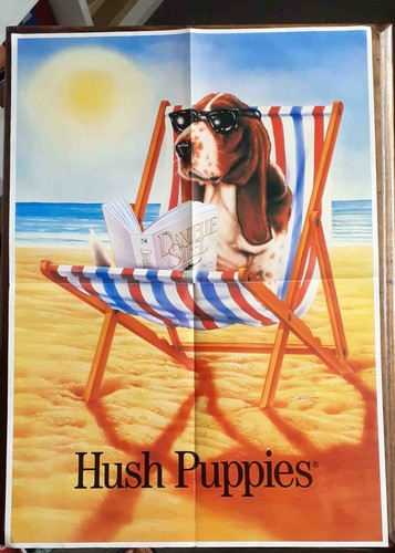Basset hound hush - hound, puppy