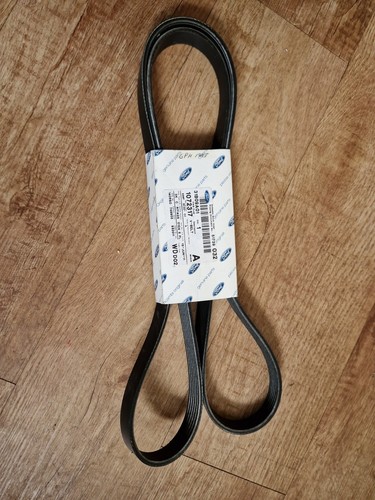 Ford belt focus - belt, mk1