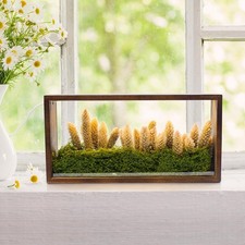 10x5 Shadow Box Frame with Led