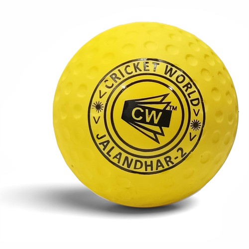 Machine cricket ball - machine, net