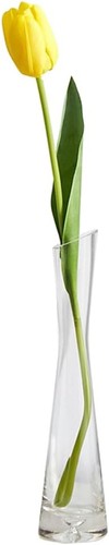 20cm glass bud vase narrow - 20cm,