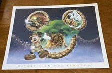 Mickey Mouse Animal Kingdom