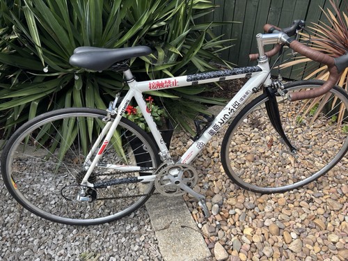 Men racer bike - men’s,