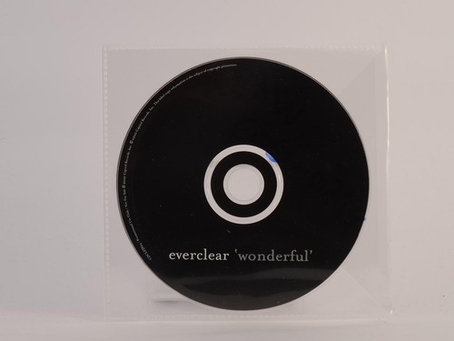 Everclear wonderful - everclear,