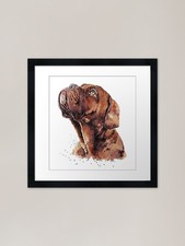 Dogue de Bordeaux Watercolour