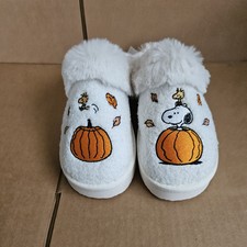 AE American Eagle Fall Peanut Snoopy Woodstock Slippers Size 6