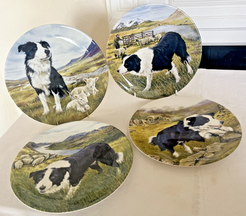 Royal grafton collie dog - royal,