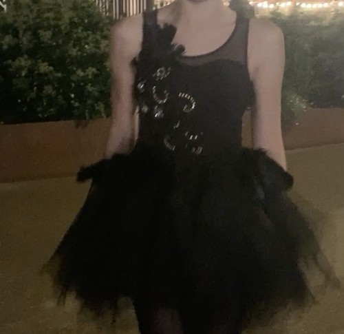 Black swan halloween fancy - black,