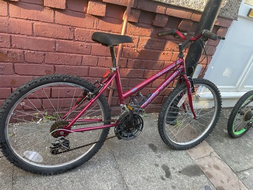Raleigh winner mountain - winner, 24”