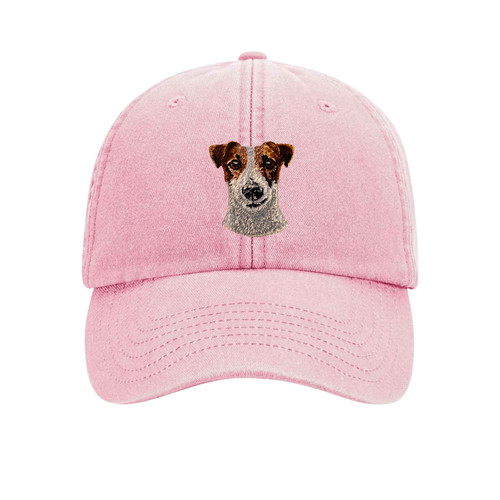 Jack russell terrier - jack,