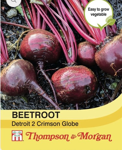 Thompson morgan beetroot - thompson, &