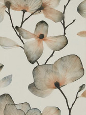 1 x Harlequin Momentum Kienze