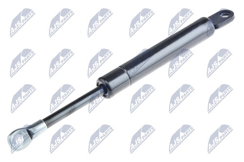 039 nty gas spring - nty,