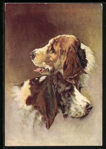 Postcard two otter - postcard, hounds
