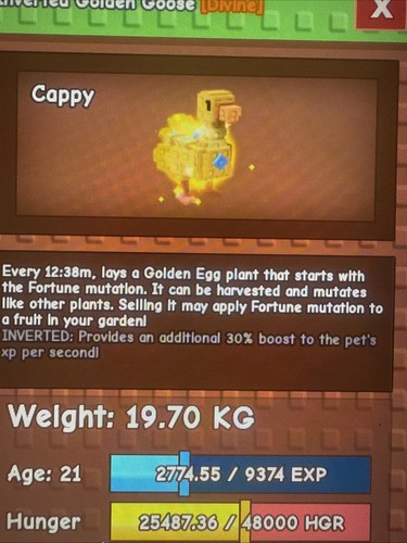 Titanic golden goose 66kg - golden, (79.66kg