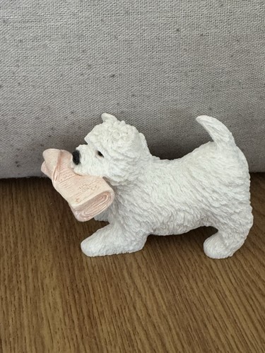 Westie dog west - dog,