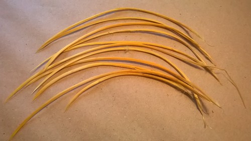 Cm long goose - 15,
