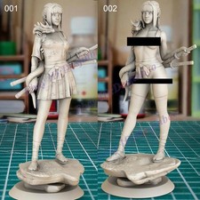 Samurai Girl 1/8 1/6 1/4 3D