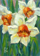 Daffodils Original Oil