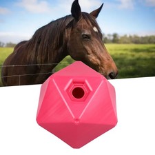 Horse Treat Ball Fun Polygon