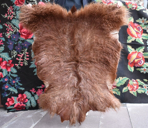 Angora goat leather - goat,