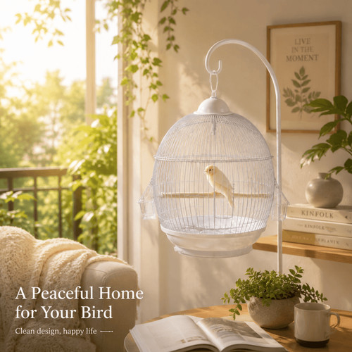White round bird cage with - round,