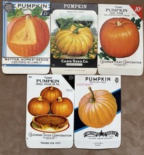 Lot of 5 Different Vintage Pumpkin Seed Packets, Old Stock, Unused! Halloween