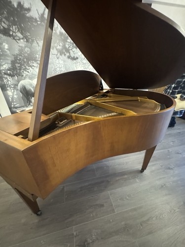 Challen baby grand - baby,
