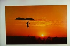 1974 original vintage hang - original,
