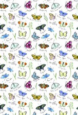 Madeleine Floyd Butterflies