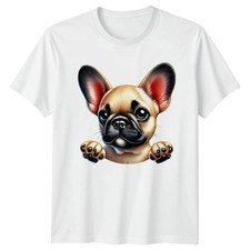 Cute Adorable French Bulldog