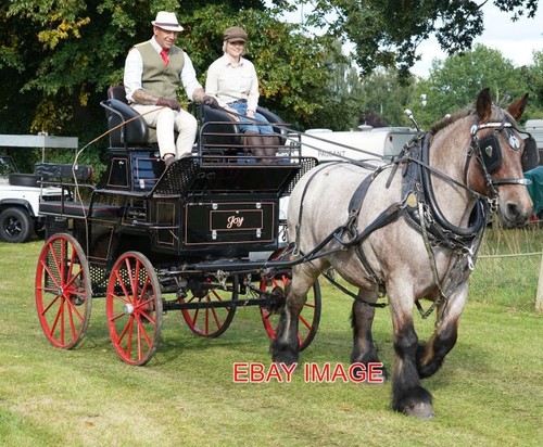 Photo percheron with wheel - photo,