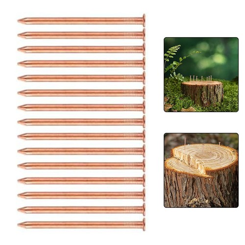 Tree stump removal copper - stump,
