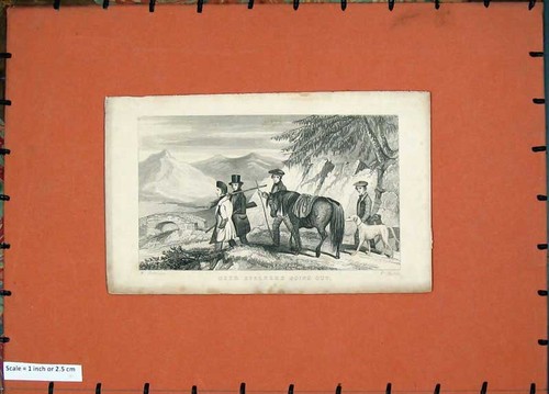 Old antique print deer - old,