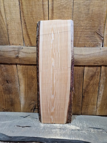 Larch slab wood - larch, live
