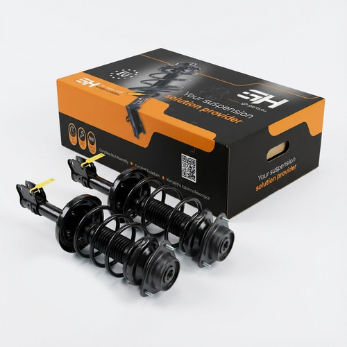 Complete struts assembly - complete,