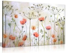 Poppy Meadow Flowers Garden