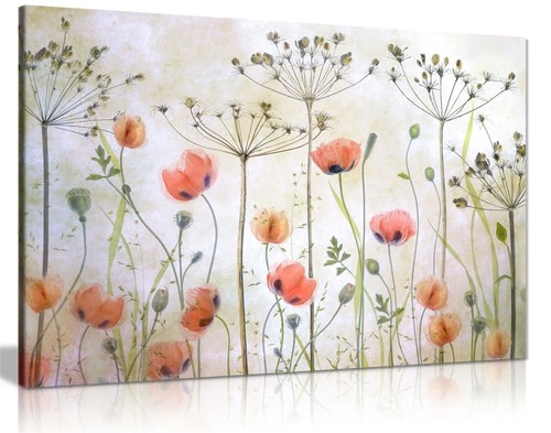 Poppy meadow flowers garden - flowers,