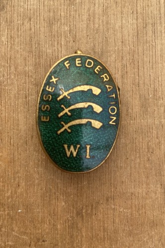 Vintage enamel badge - badge,