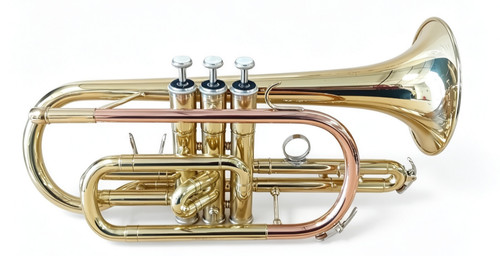 Ferris cornet with - with, case