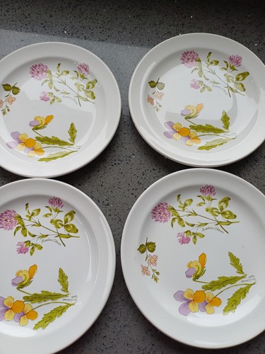 Royal worcester palissy meadow - royal,