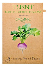 Organic TURNIP 🌱 PURPLE TOP