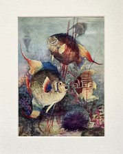 TROPICAL FISH, Angel Fish Print - 1920 Mounted Antique Colour Lithograph